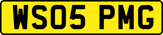 WS05PMG