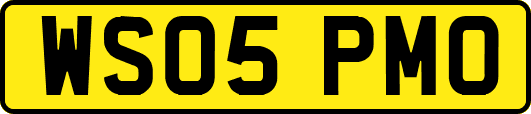 WS05PMO