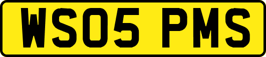 WS05PMS