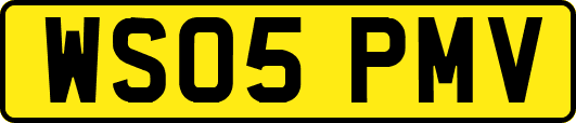 WS05PMV