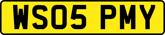 WS05PMY