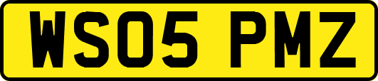 WS05PMZ