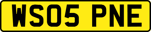 WS05PNE