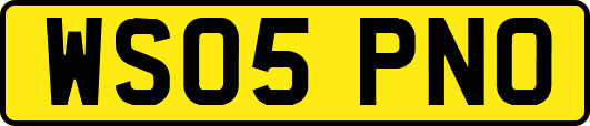 WS05PNO