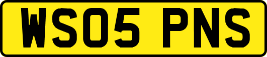 WS05PNS