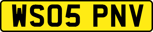WS05PNV