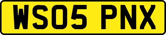 WS05PNX