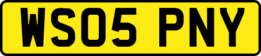 WS05PNY