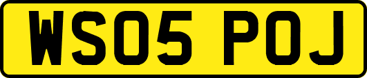 WS05POJ