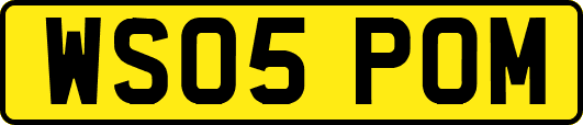 WS05POM