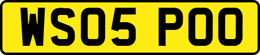 WS05POO