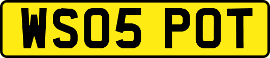 WS05POT