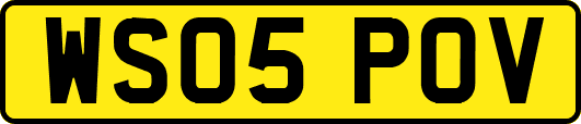 WS05POV