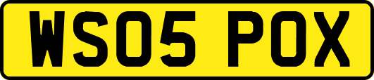 WS05POX