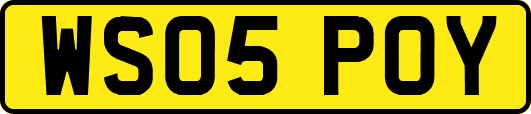 WS05POY