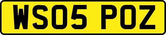 WS05POZ