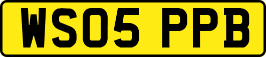 WS05PPB