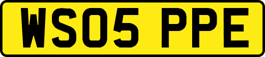 WS05PPE