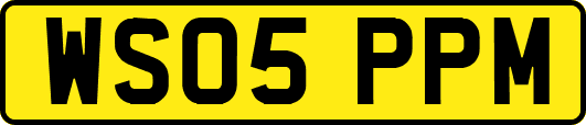 WS05PPM