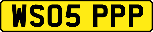 WS05PPP