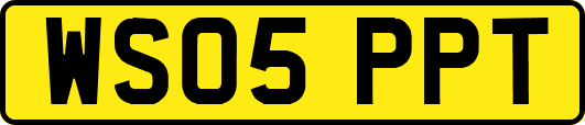 WS05PPT