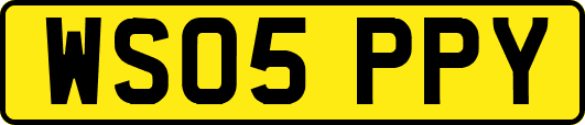 WS05PPY