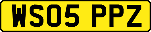 WS05PPZ