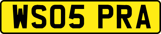 WS05PRA