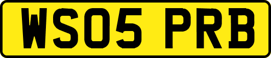 WS05PRB