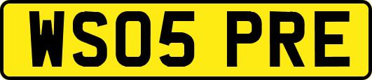 WS05PRE