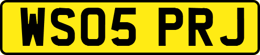 WS05PRJ