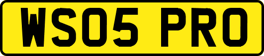WS05PRO