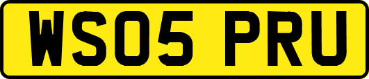 WS05PRU