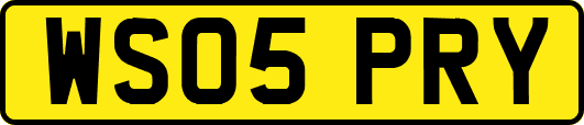 WS05PRY