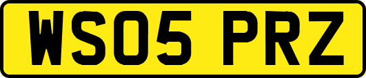 WS05PRZ