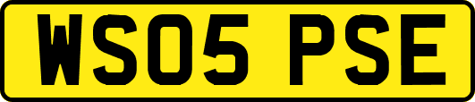 WS05PSE