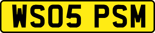 WS05PSM