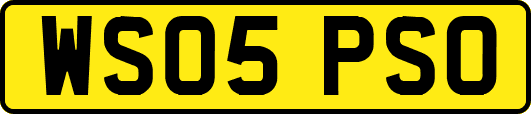 WS05PSO