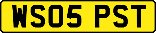WS05PST