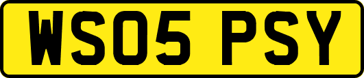 WS05PSY
