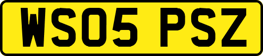 WS05PSZ