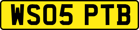 WS05PTB