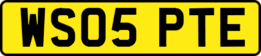 WS05PTE