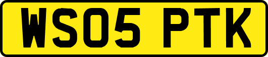 WS05PTK