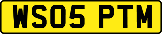 WS05PTM