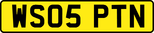 WS05PTN