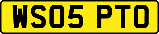 WS05PTO
