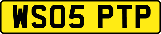 WS05PTP