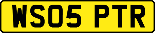 WS05PTR