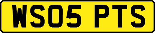 WS05PTS